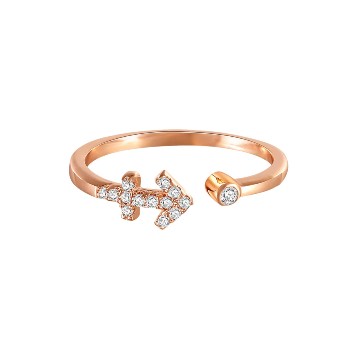 Sagittarius Ring (November 22 - December 21)